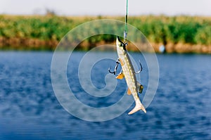 Fishing lure