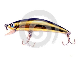 Fishing Lure