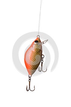 Fishing lure photo