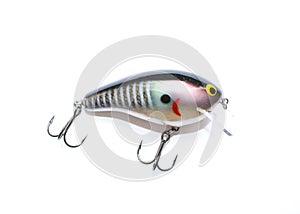 Fishing Lure Crankbait Large Mouth Bass photo