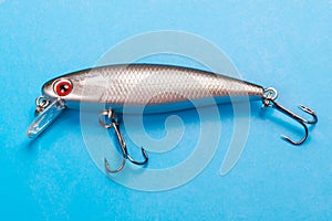 Fishing lure in the form of a fish