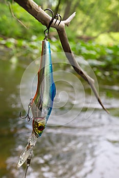 Fishing lure hanging on a branch