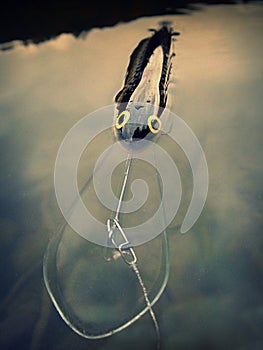Fishing lure plug deep runner Salmo Whitefish photo