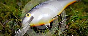 Fishing lure plug Rapala Shar Rap SSH colour