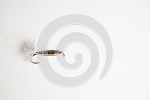 Fishing lure in the shape of fish on a white background