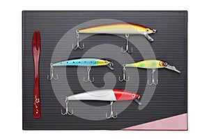 Fishing lure on tray