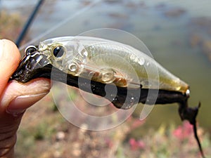 Fishing lures close up