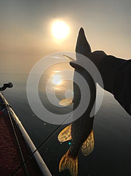 Fishing On A Minnesota Lake