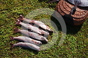 Fishing on mountain river in Mongolia