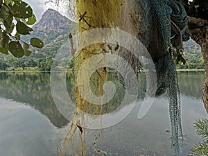 Fishing nates dryig on bamboo resting two Palash or Butea monosperma Trees By Lake Against Sky and hills of Aravalli