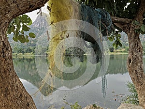 Fishing nates dryig on bamboo resting two Palash or Butea monosperma Trees By Lake Against Sky and hills of Aravalli