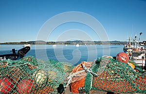 Fishing nest and colorful buoys bundled on wharf