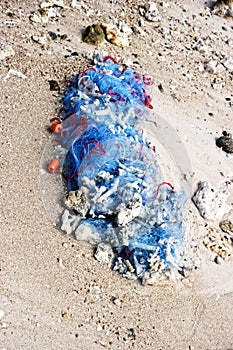 Fishing net is abandoned on shore by poachers photo