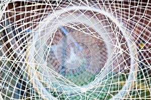 Fishing net close-up. Fisherman`s background or texture.