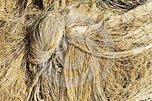 Fishing net with cords and floats background.