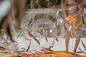 Fishing net with fish