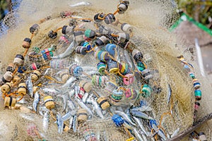 Fishing net with fish