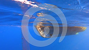 Fishing Net Hanging From Boat Under Sea in Underwater