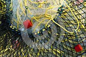 Fishing net macro