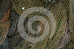 A fishing net is a net used for fishing. Nets are devices made from fibers woven in a grid-like structure. Some fishing
