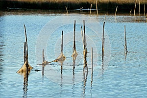 Fishing Net picture,fishing net viewing,trap,entrapment,Fishing net image,lake,job