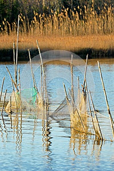 Fishing Net picture,fishing net viewing,trap,entrapment,Fishing net image,lake,job