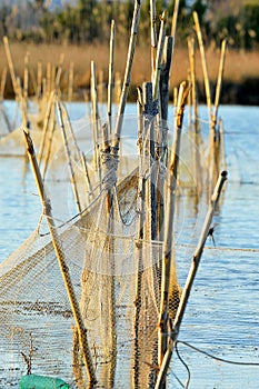 Fishing Net picture,fishing net viewing,trap,entrapment,Fishing net image,lake,job