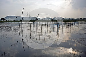 Fishing net reflection and sunset at rambha odisha india