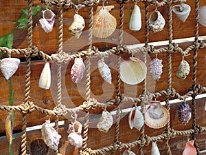 Fishing net with shells