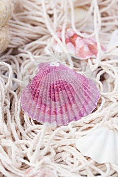 Fishing net on wooden background