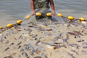 Fishing with nets