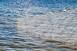 Fishing nets wall with white floats for fishing in sea