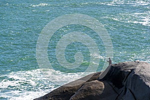 Fishing off the rock cliff