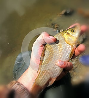 Fishing outdoor activities, caught fish