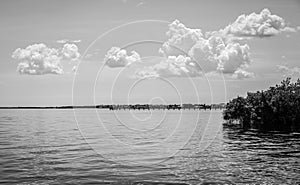 The fishing piers on Charlotte Harbor