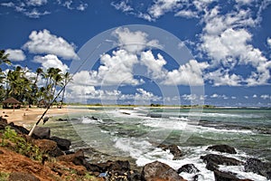 Fishing pole on Hawaii Poipu beach landscape photo