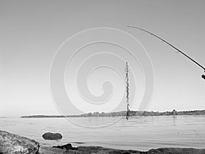 Fishing pole suspended over water