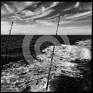 Fishing poles on boat in black and white