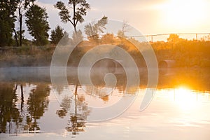 Fishing Pond At Dawn Warm Sun