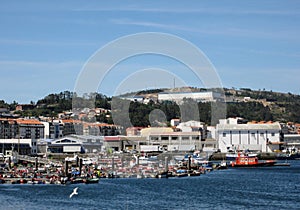 Fishing port of Riveira photo