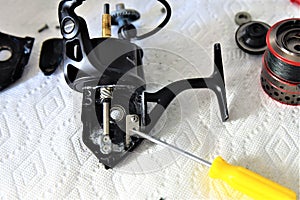 Fishing reel disassembled parts after cleaning