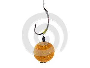 Fishing rig for carps, boilie rig, photo