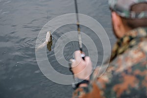 Fishing in river.A fisherman with a fishing rod on the river bank. Man fisherman catches a fish pike.Fishing, spinning reel, fish