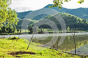 Fishing rod that is implanted on the ground at the Reservoir.