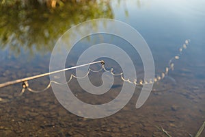 Fishing Rod Line