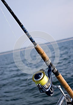 Fishing rod and sea