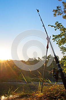 fishing rod on a stand