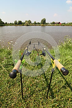 Fishing rods photo
