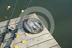 Fishing rods and fresh fish on wooden pier near pond