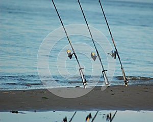 Fishing rods on the shore